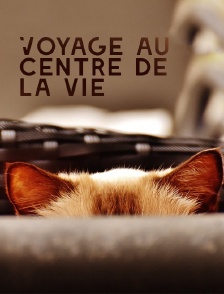 Voyage au centre de la vie