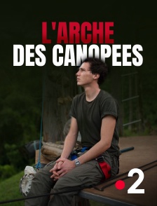 L'arche des canopées