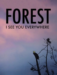 Forest - I See You Everywhere