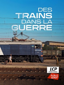 LCP Public Sénat - Des trains dans la guerre