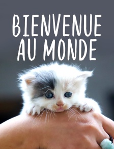 Bienvenue au monde