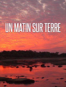 Un matin sur Terre