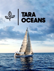 Tara Océans