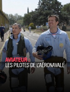Aviateur : les pilotes de l'aéronavale