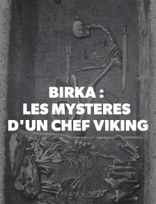 Birka : les mystères d'un chef viking