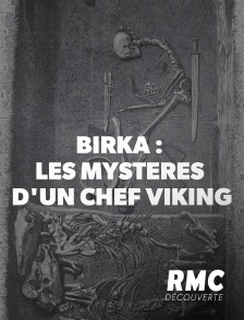 Birka : les mystères d'un chef viking