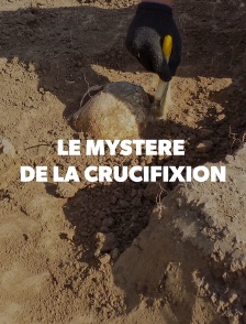 Le mystère de la crucifixion