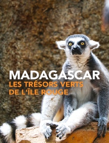 Madagascar, les trésors verts de l'île rouge