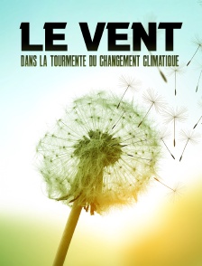 Le vent : Dans la tourmente du changement climatique