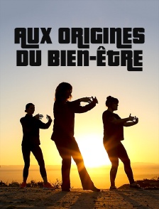 Aux origines du bien-être
