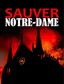 Pompiers de Paris : Sauver Notre-Dame