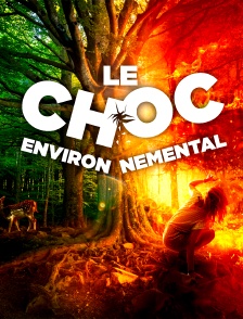 Le choc environnemental
