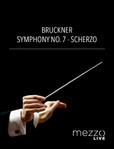 Bruckner : Symphony no. 7 - Scherzo