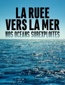 La ruée vers la mer : nos océans surexploités