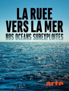 Arte - La ruée vers la mer : nos océans surexploités