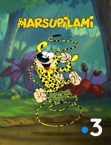 France 3 - Marsupilami