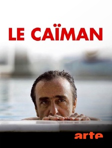 Arte - Le caïman