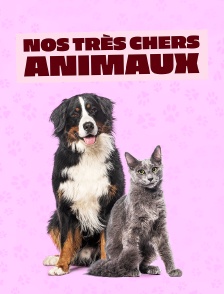 Nos très chers animaux
