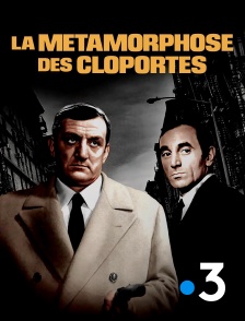 France 3 - La métamorphose des cloportes