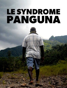 Le syndrome Panguna
