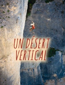 Un désert vertical