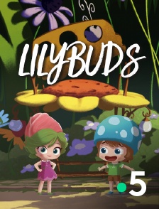 France 5 - Lilybuds