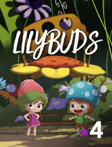 France 4 - Lilybuds