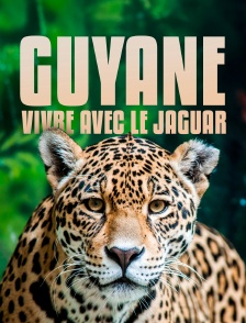 Guyane, vivre avec le jaguar