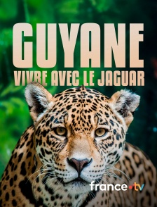 france.tv - Guyane, vivre avec le jaguar