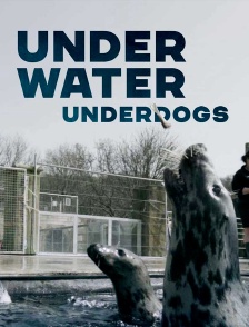 Underwater underdogs