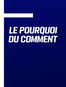 Le pourquoi du comment