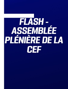 Flash - Assemblée plénière de la CEF