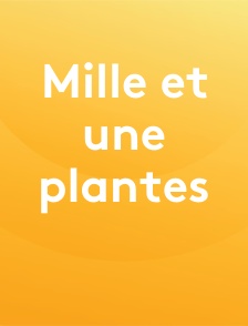 Mille et une plantes