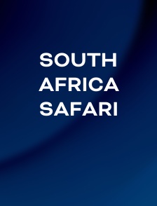 South Africa Safari