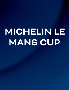Michelin Le Mans Cup