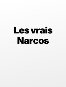 Les vrais Narcos