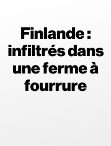 Finlande : infiltrés dans une ferme à fourrure