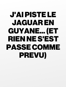 J'ai piste le jaguar en guyane... (et rien ne s'est passe comme prevu)