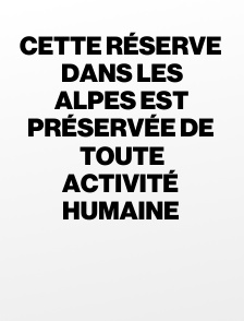 Cette réserve dans les Alpes est préservée de toute activité humaine