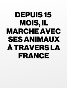 Depuis 15 mois, il marche avec ses animaux à travers la France