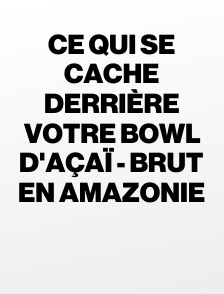Ce qui se cache derrière votre bowl d'açaï - Brut en Amazonie