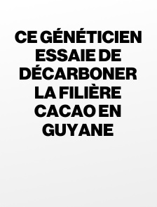 Ce généticien essaie de décarboner la filière cacao en Guyane