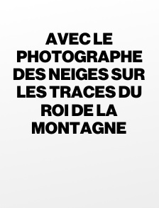 Avec le photographe des neiges sur les traces du roi de la montagne