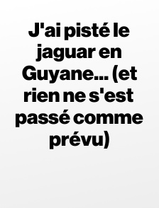 J'ai pisté le jaguar en Guyane... (et rien ne s'est passé comme prévu)