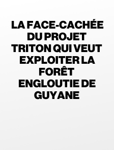 La face-cachée du projet Triton qui veut exploiter la forêt engloutie de Guyane