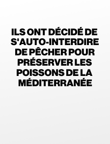 Ils ont décidé de s'auto-interdire de pêcher pour préserver les poissons de la Méditerranée