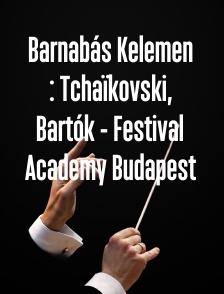 Barnabás Kelemen : Tchaïkovski, Bartók - Festival Academy Budapest