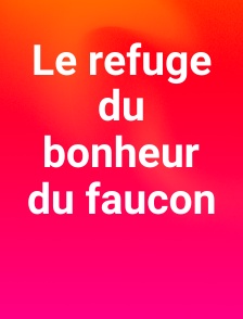 Le refuge du bonheur du faucon