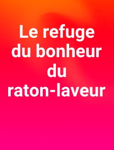Le refuge du bonheur du raton-laveur