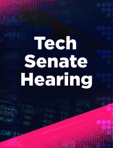Tech Senate Hearing